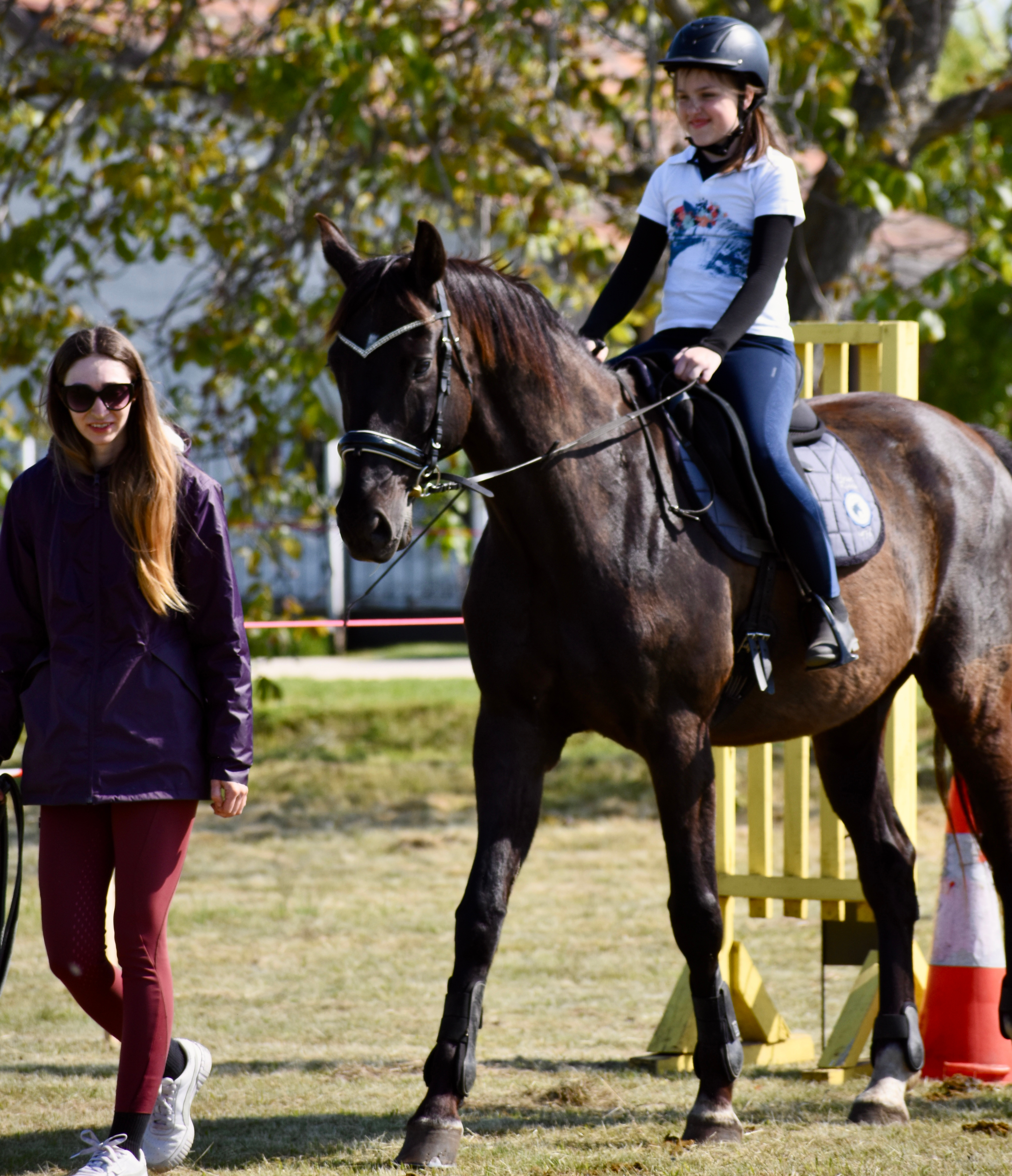 Miért érdemes minket választani?