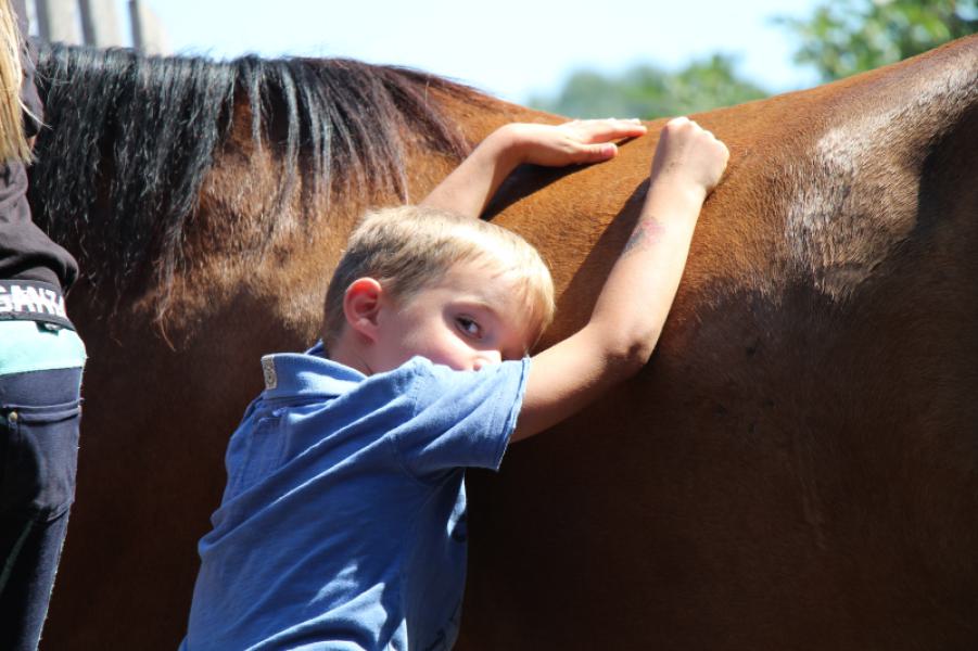 A gyermek és a ló kapcsolata